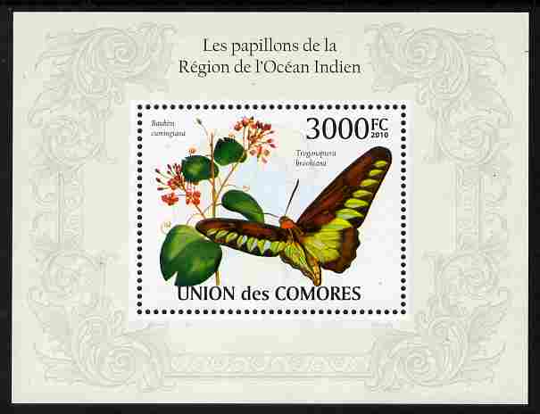 Comoro Islands 2009 Butterflies from Indian Ocean Region perf m/sheet unmounted mint, Michel BL 569, stamps on butterflies