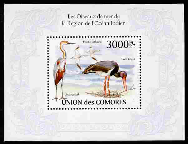 Comoro Islands 2009 Birds from Indian Ocean Region perf m/sheet unmounted mint, Michel BL 575, stamps on , stamps on  stamps on birds, stamps on  stamps on 