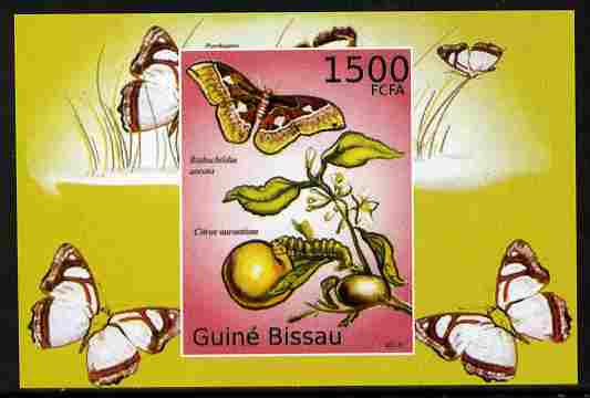 Guinea - Bissau 2010 Butterflies #10 individual imperf deluxe sheet unmounted mint. Note this item is privately produced and is offered purely on its thematic appeal , stamps on butterflies