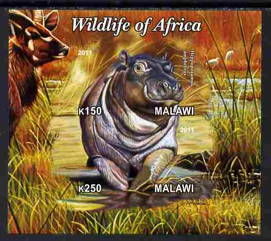 Malawi 2011 Wildlife of Africa #3 - Hippos composite imperf sheetlet containing 2 values unmounted mint, stamps on animals, stamps on hippos