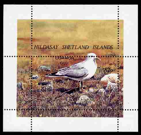 Shetland Islands 1995 Birds perf m/sheet with perforations dramatically misplaced dowmwards by 9mm unmounted mint, stamps on , stamps on  stamps on birds, stamps on  stamps on gull, stamps on  stamps on gulls