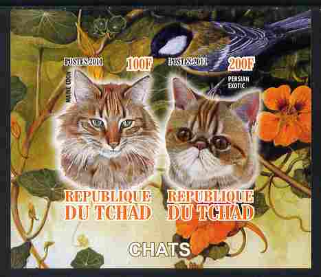 Chad 2011 Domestic Cats imperf sheetlet containing 2 values unmounted mint, stamps on , stamps on  stamps on animals, stamps on  stamps on cats, stamps on  stamps on 