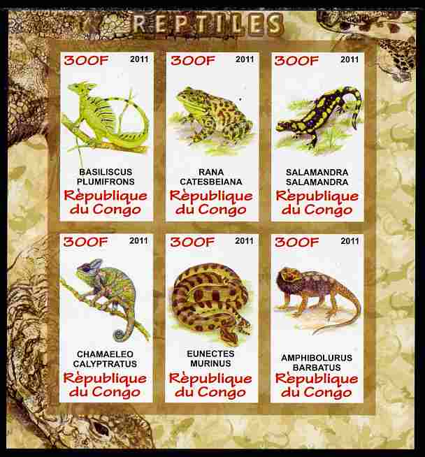 Congo 2011 Reptiles imperf sheetlet containing 6 values unmounted mint, stamps on reptiles, stamps on lizards, stamps on frogs, stamps on snakes, stamps on chameleons