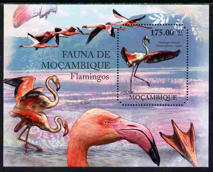 Mozambique 2011 Flamingos perf m/sheet containing octagonal shaped value unmounted mint, stamps on , stamps on  stamps on shaped, stamps on  stamps on birds, stamps on  stamps on flamingos