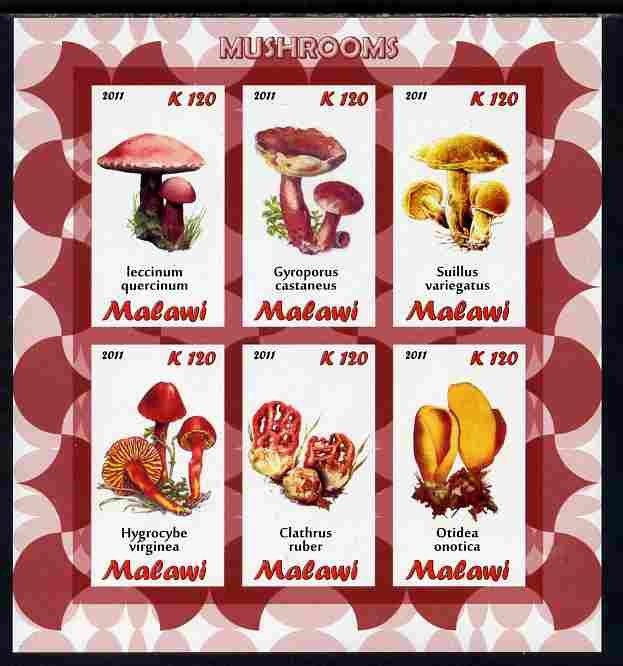 Malawi 2011 Mushrooms imperf sheetlet containing 6 values unmounted mint, stamps on , stamps on  stamps on fungi