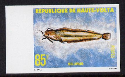 Upper Volta 1979 Freshwater Fish 85f Catfish unmounted mint imperf single, as SG 522, stamps on fish