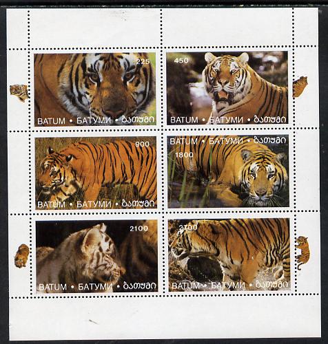 Batum 1996 Save the Tigers perf set of 6 unmounted mint, stamps on animals    cats