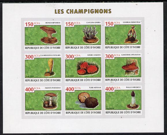 Ivory Coast 2009 Mushrooms imperf sheetlet containing 9 values unmounted mint, stamps on fungi
