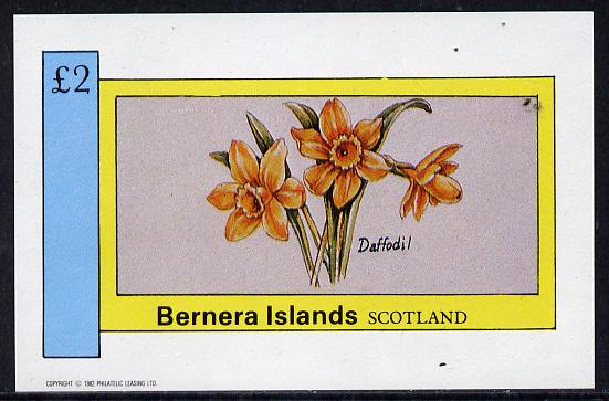 Bernera 1982 Flowers #03 (Daffodil) imperf deluxe sheet (Â£2 value) unmounted mint, stamps on flowers