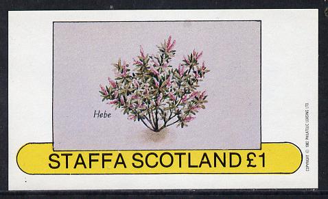 Staffa 1982 Flowers #05 (Hebe) imperf souvenir sheet (Â£1 value) unmounted mint, stamps on flowers