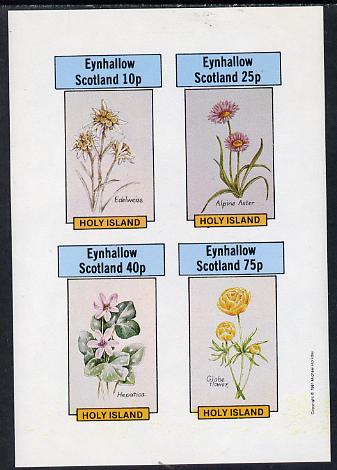 Eynhallow 1981 Flowers #03 (Edelweiss, Alpine Aster, Hepatica & Globe Flower) imperf  set of 4 values (10p to 75p) unmounted mint , stamps on flowers