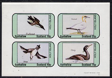 Eynhallow 1981 Sea Birds (Guillemot, Gannet, Skua & Shag) imperf  set of 4 values (10p to 75p) unmounted mint , stamps on birds
