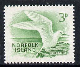 Norfolk Island 1961 White Tern 3d value from def set unmounted mint, SG 26*, stamps on birds