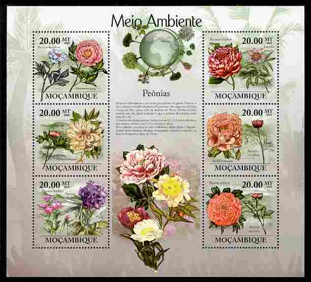 Mozambique 2010 The Environment - Peony Flower perf sheetlet containing 6 values unmounted mint Michel 3469-74, stamps on flowers, stamps on environment