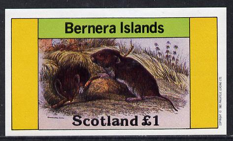 Bernera 1982 Rodents #2 imperf souvenir sheet (Â£1 value) unmounted mint, stamps on animals     rodents