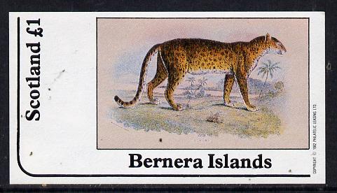 Bernera 1982 Animals (Leopard) imperf souvenir sheet (Â£1 value) unmounted mint, stamps on animals   cats
