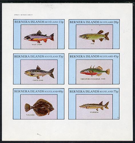 Bernera 1982 Fish (Char, Pike, Sturgeon, Flounder etc) imperf set of 6 values (15p to 75p) unmounted mint, stamps on fish     marine-life