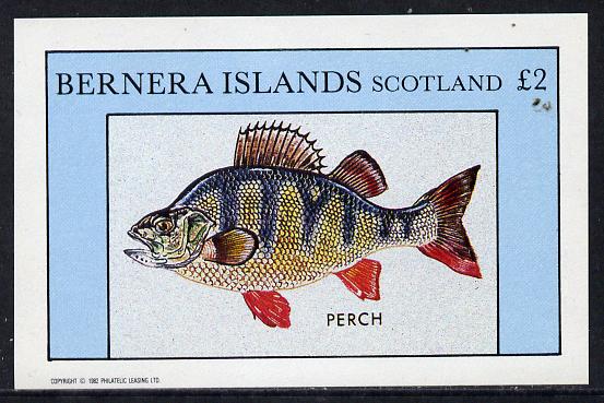 Bernera 1982 Fish (Perch) imperf deluxe sheet (Â£2 value) unmounted mint, stamps on fish     marine-life