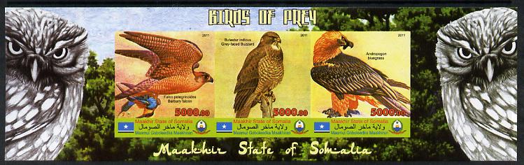 Maakhir State of Somalia 2011 Birds of Prey #1 imperf sheetlet containing 3 values unmounted mint, stamps on birds, stamps on birds of prey, stamps on owls