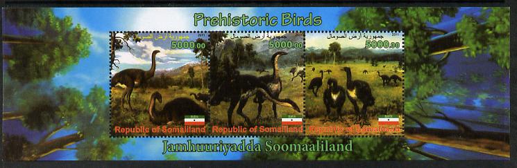 Somaliland 2011 Pre-historic Birds perf sheetlet containing 3 values unmounted mint, stamps on dinosaurs, stamps on birds, stamps on 