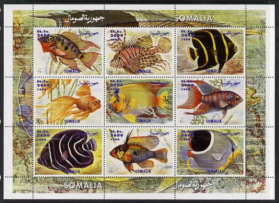 Somalia 1999 Fish perf sheetlet containing 9 values unmounted mint. Note this item is privately produced and is offered purely on its thematic appeal , stamps on , stamps on  stamps on fish