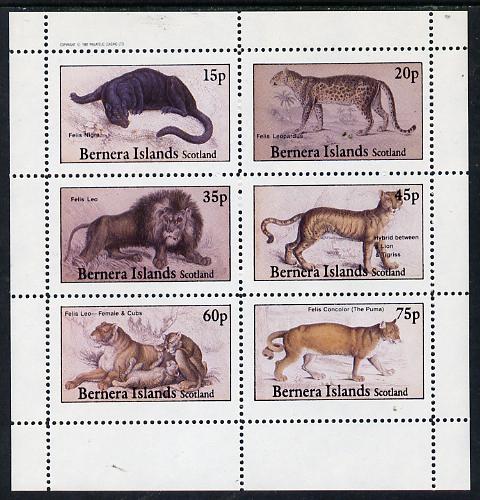 Bernera 1982 Animals (Lion, leopard, Puma etc) perf set of 6 values (15p to 75p) unmounted mint, stamps on animals    cats