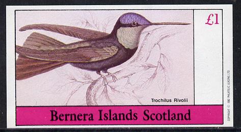 Bernera 1982 Hummingbirds (Trochilus R) imperf souvenir sheet (Â£1 value) unmounted mint, stamps on birds, stamps on humming-birds, stamps on hummingbirds