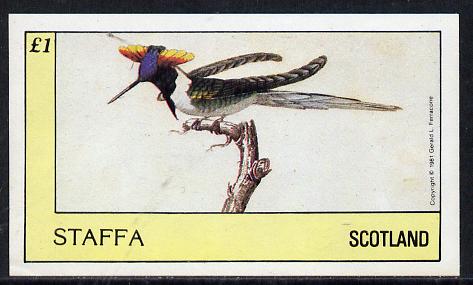 Staffa 1981 Hummingbirds #04 imperf souvenir sheet (Â£1 value) unmounted mint, stamps on birds, stamps on humming-birds, stamps on hummingbirds