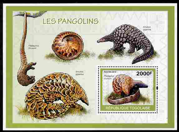 Togo 2010 WWF - Pangolins - Phataginus tricuspis perf souvenir sheet unmounted mint, stamps on animals, stamps on  wwf , stamps on pangolins