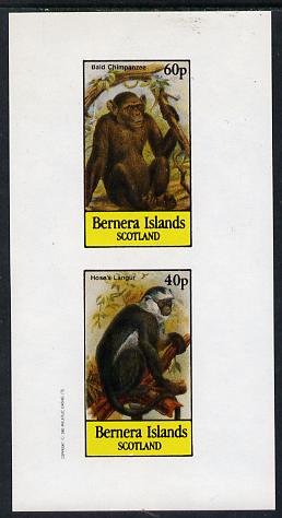 Bernera 1982 Primates (Hoses Langur) imperf  set of 2 values (40p & 60p) unmounted mint, stamps on animals    apes