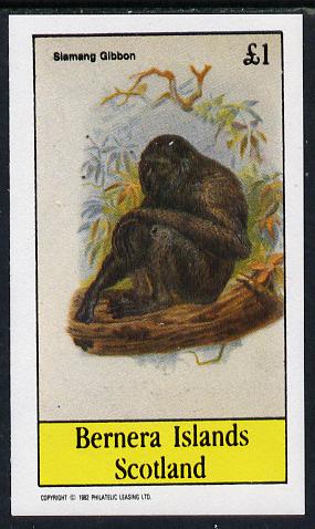 Bernera 1982 Primates (Siamang Gibbon) imperf souvenir sheet (£1 value) unmounted mint, stamps on animals    apes