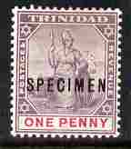 Trinidad 1896-1906 Btitannia 1d Crown CA overprinted SPECIMEN fresh with gum SG 115s (only about 750 produced), stamps on , stamps on  stamps on specimen
