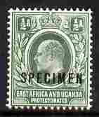 Kenya, Uganda & Tanganyika 1903-04 KE7 Crown CA 1/2a overprinted SPECIMEN fresh with gum SG 1s (only about 750 produced), stamps on specimen
