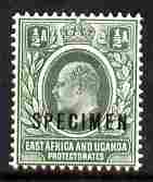 Kenya, Uganda & Tanganyika 1903-04 KE7 Crown CA 1/2a overprinted SPECIMEN fresh with gum SG 1s (only about 750 produced), stamps on , stamps on  stamps on specimen