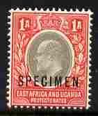 Kenya, Uganda & Tanganyika 1903-04 KE7 Crown CA 1a overprinted SPECIMEN fresh with gum SG 2s (only about 750 produced), stamps on specimen