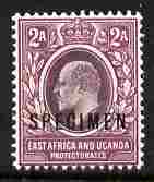 Kenya, Uganda & Tanganyika 1903-04 KE7 Crown CA 2a overprinted SPECIMEN fresh with gum SG 3s (only about 750 produced), stamps on specimen