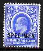 Kenya, Uganda & Tanganyika 1903-04 KE7 Crown CA 2.5a overprinted SPECIMEN fresh with gum SG 4s (only about 750 produced), stamps on specimen