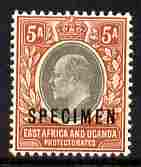 Kenya, Uganda & Tanganyika 1903-04 KE7 Crown CA 5a overprinted SPECIMEN fresh with gum SG 7s (only about 750 produced), stamps on specimen