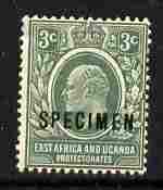 Kenya, Uganda & Tanganyika 1907-08 KE7 3c MCA overprinted SPECIMEN fresh with gum but small thin SG 35s (only about 400 produced), stamps on , stamps on  stamps on specimen