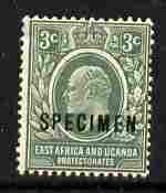 Kenya, Uganda & Tanganyika 1907-08 KE7 3c MCA overprinted SPECIMEN fresh with gum but small thin SG 35s (only about 400 produced), stamps on specimen