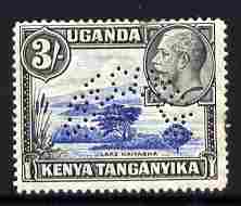 Kenya, Uganda & Tanganyika 19235-37 KG5 3s Script CA perforated SPECIMEN fresh with gum SG 120s (only about 400 produced), stamps on specimen