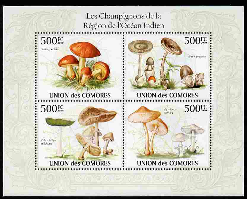Comoro Islands 2009 Mushrooms from Indian Ocean Region perf sheetlet containing 4 values unmounted mint, Michel 2652-55, stamps on fungi