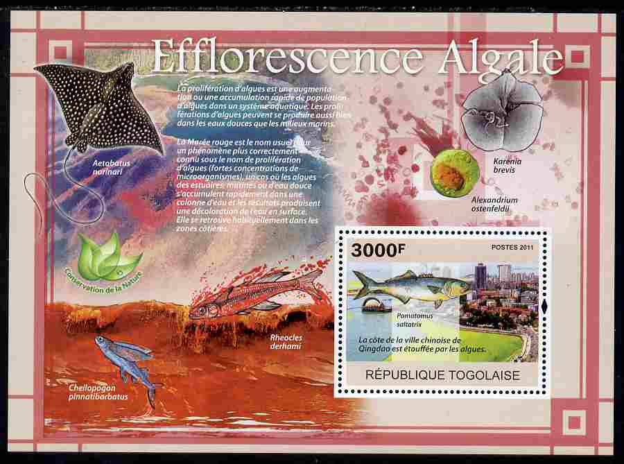 Togo 2011 Environment - Algal Blooms - Fish perf s/sheet unmounted mint, stamps on , stamps on  stamps on environment, stamps on  stamps on fish