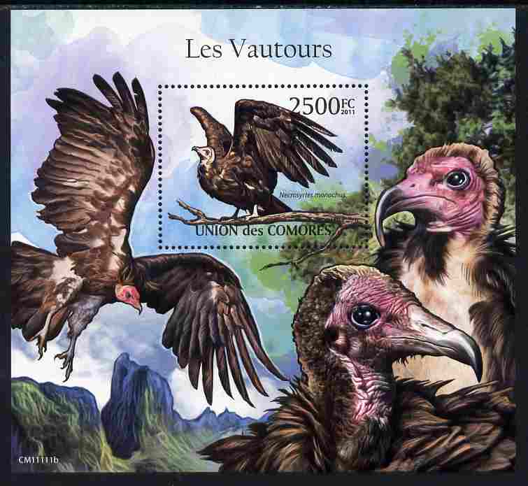 Comoro Islands 2011 Vultures perf m/sheet unmounted mint, stamps on , stamps on  stamps on birds, stamps on  stamps on vultures