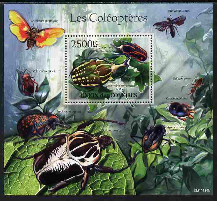 Comoro Islands 2011 Beetles perf s/sheet unmounted mint , stamps on insects, stamps on beetles