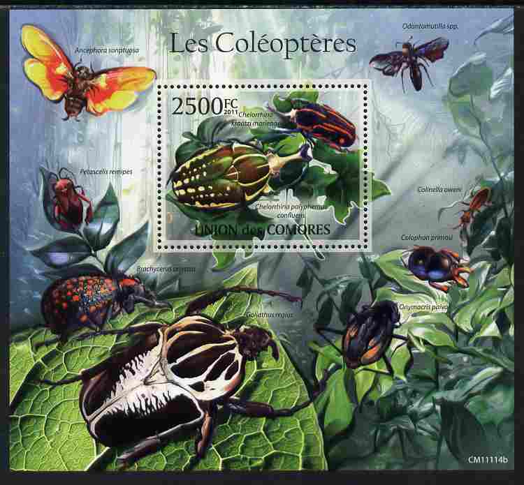 Comoro Islands 2011 Beetles perf s/sheet unmounted mint , stamps on , stamps on  stamps on insects, stamps on  stamps on beetles