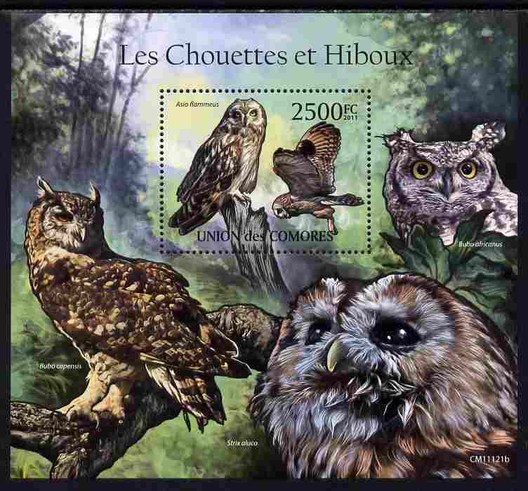 Comoro Islands 2011 Owls #1 perf s/sheet unmounted mint , stamps on , stamps on  stamps on birds, stamps on  stamps on birds of prey, stamps on  stamps on owls