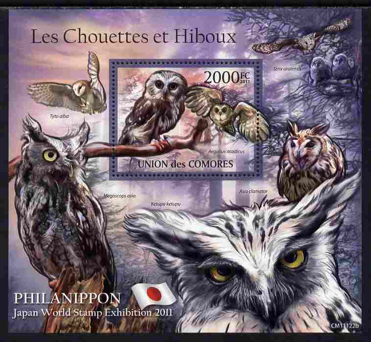 Comoro Islands 2011 Owls #2 perf s/sheet unmounted mint , stamps on birds, stamps on birds of prey, stamps on owls