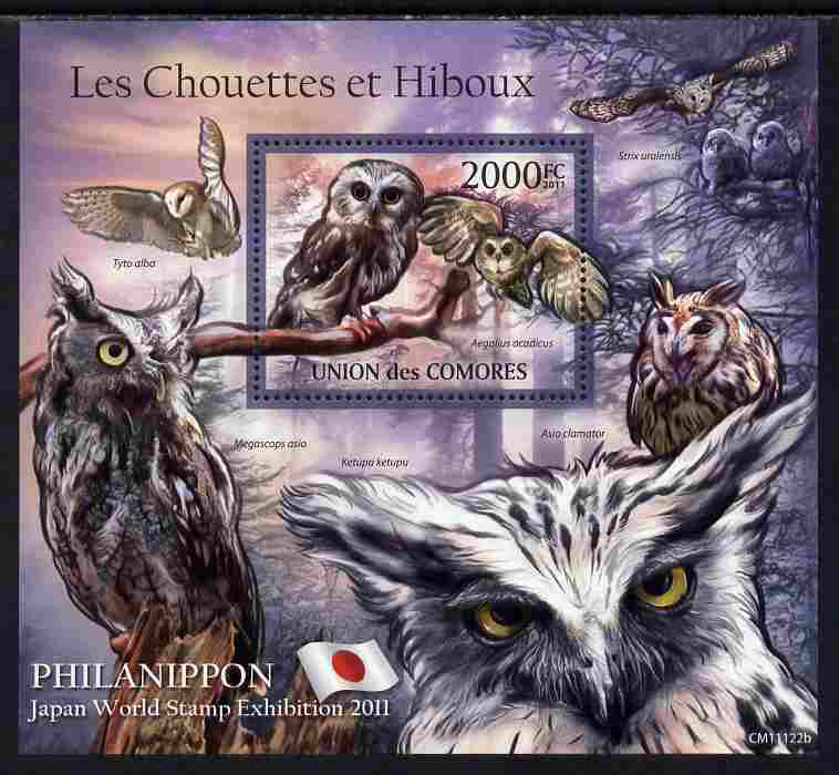 Comoro Islands 2011 Owls #2 perf s/sheet unmounted mint , stamps on , stamps on  stamps on birds, stamps on  stamps on birds of prey, stamps on  stamps on owls