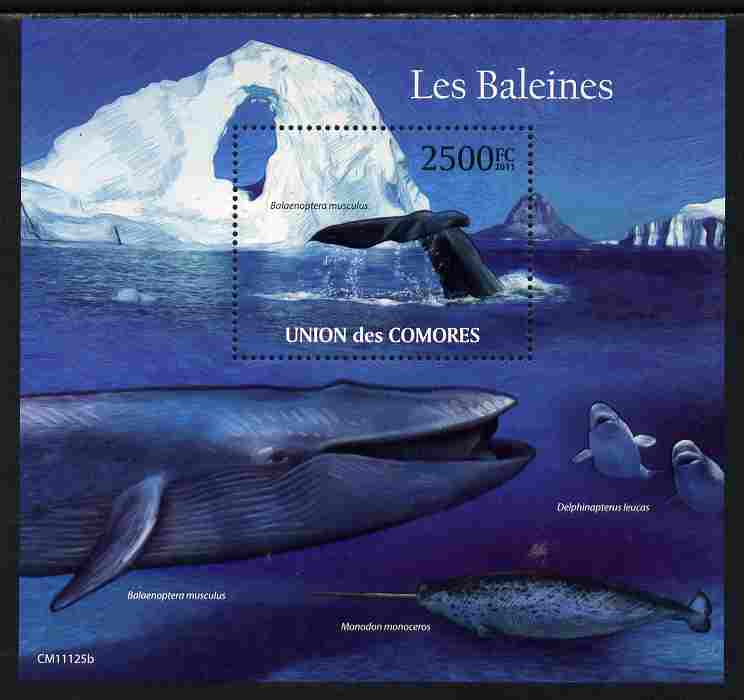 Comoro Islands 2011 Whales perf s/sheet unmounted mint , stamps on , stamps on  stamps on marine life, stamps on  stamps on whales